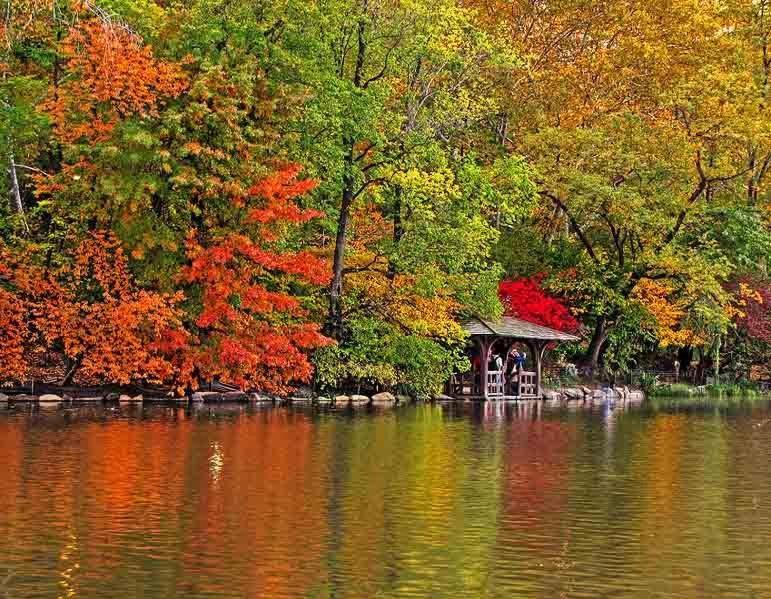 Central Park بوخارست الغرفة الصورة