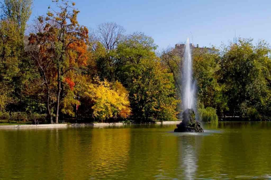 Central Park بوخارست الغرفة الصورة