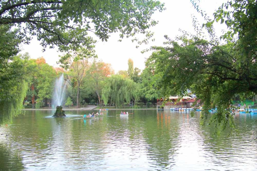 Central Park بوخارست الغرفة الصورة