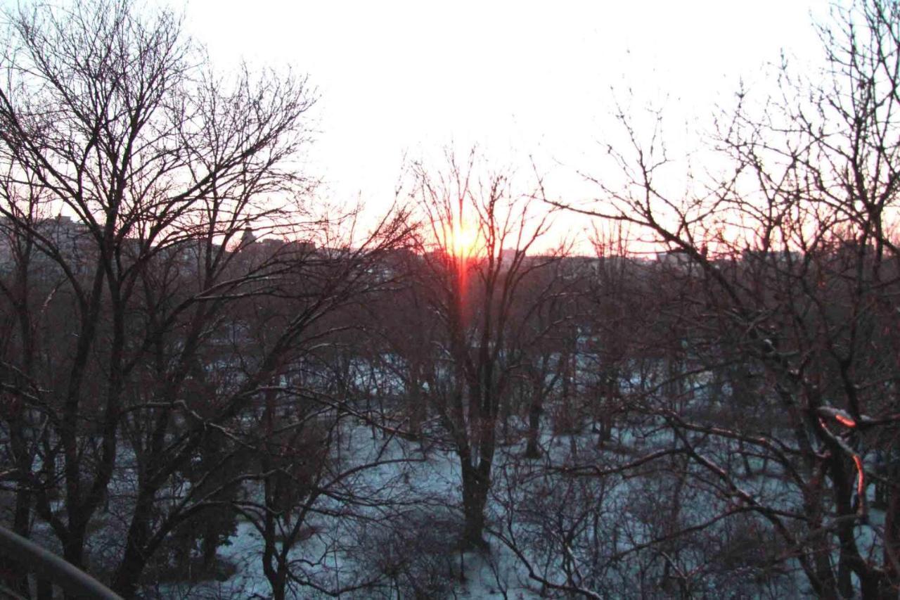 Central Park بوخارست المظهر الخارجي الصورة