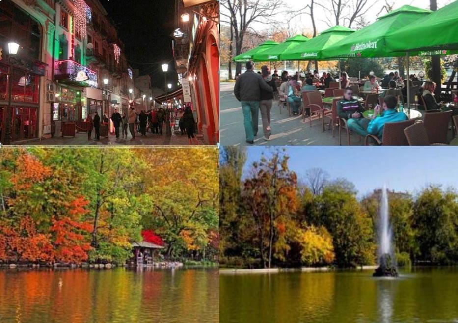 Central Park بوخارست الغرفة الصورة